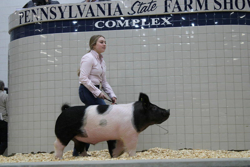 LF20230114-Farm-Show-Sale-3.jpg